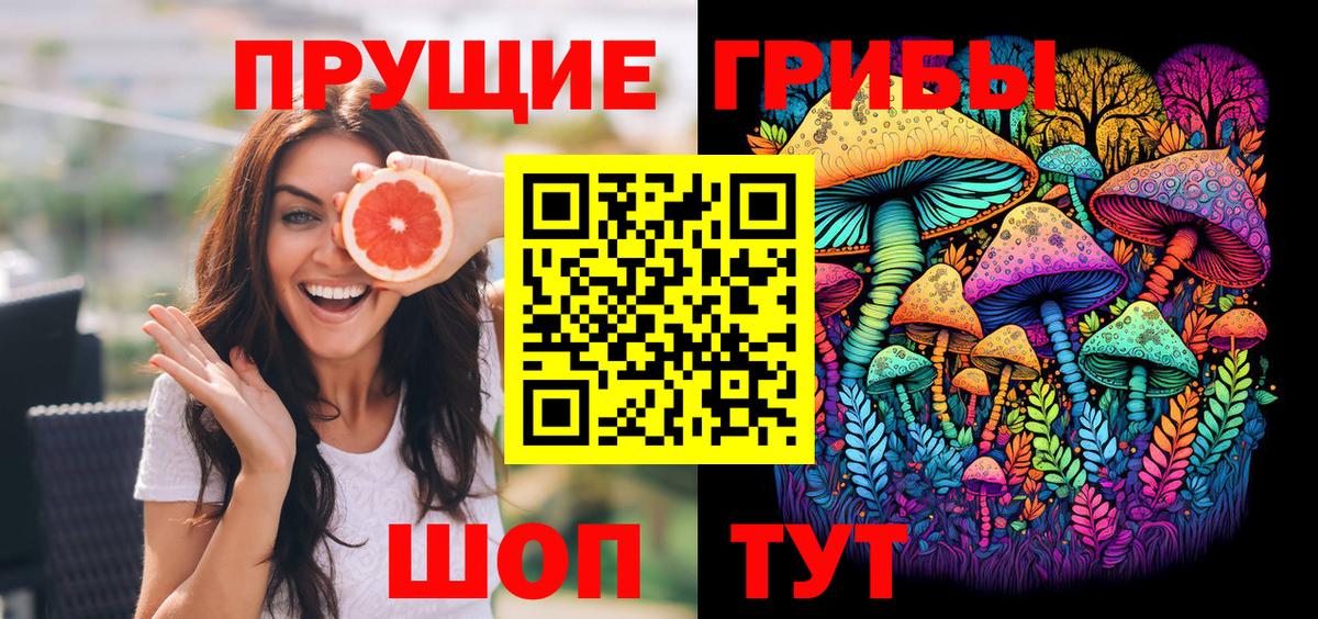 Будённовск  Псилоцибиновые грибы ЛСД  Вход с VPN 