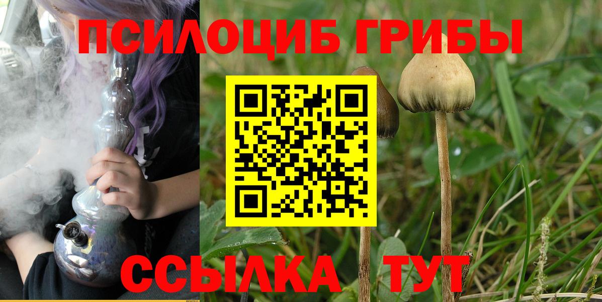 Псилоцибиновые грибы прущие грибы Будённовск